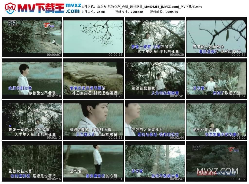翁立友-阮的心声_台语_流行歌曲_MA406255
